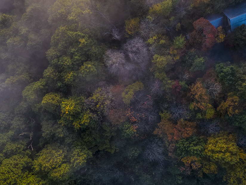 dji_0065.jpg