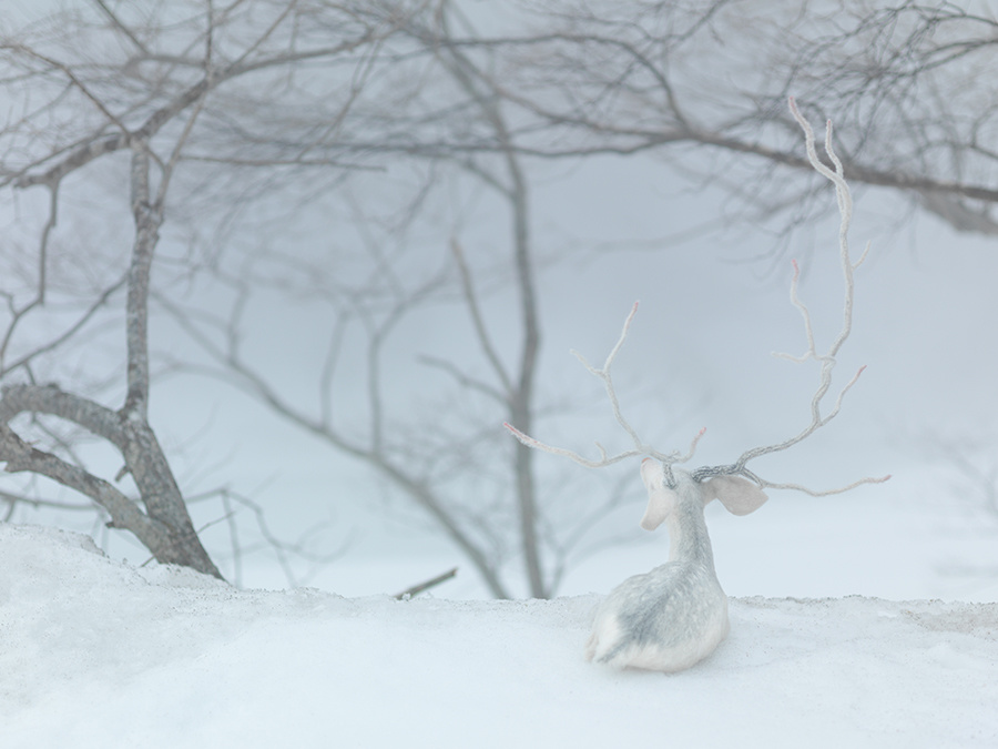 terumi_tsl_0189-edit.jpg