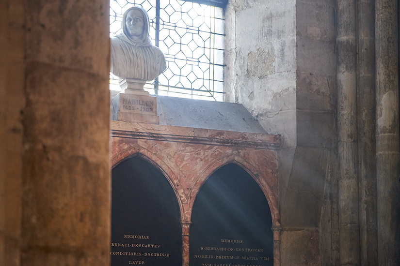dscf8556.jpg